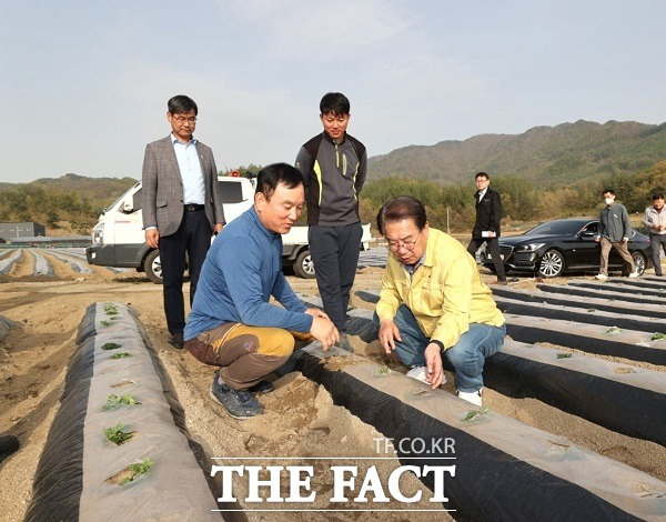 송인헌 충북 괴산군수는 지난 17일 괴산읍과 감물면, 불정면 등 냉해를 입은 농가를 찾아 농민들을 위로했다. /괴산군