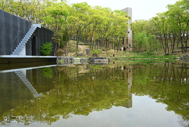 사유원 사담에 연둣빛 느티나무가 비친다. 건너편 타워는 새들을 위한 공간이다.