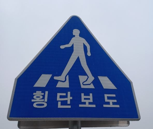 횡단보도/ 사진=연합뉴스