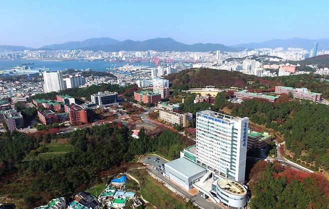 [부산=뉴시스] '캠퍼스 혁신파크'가 들어설 부산 남구 부경대 용당캠퍼스 전경. (사진=부경대 제공) *재판매 및 DB 금지