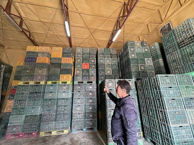 지난 12일 오후 외국인 농업노동자들이 단속돼 상품으로 출하하지 못한 고구마가 창고에 그대로 쌓여 있다. 김기성 기자