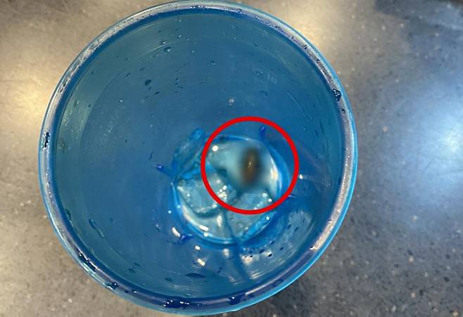 롯데리아 콜라 안에서 바퀴벌레가 발견돼 논란이 일고 있다. ⓒ연합뉴스