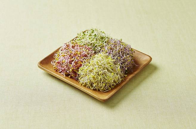 새싹채소는 길이가 5cm 넘지 않는 것이 좋고 고유의 색을 보이는 것이 신선하다. [사진=국립농업과학원]