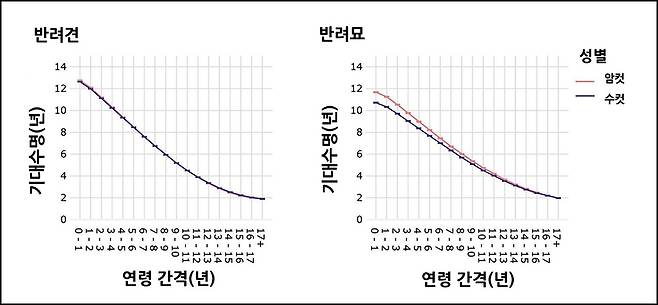 연령 간격과 성별에 따른 개와 고양이의 기대 수명(로얄캐닌 제공) /뉴스1