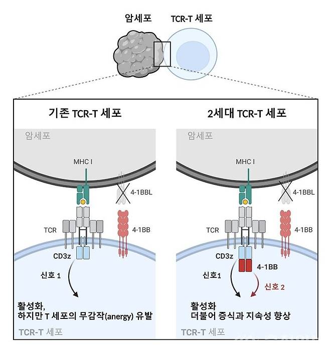 연구 모식도. 사진=카이스트