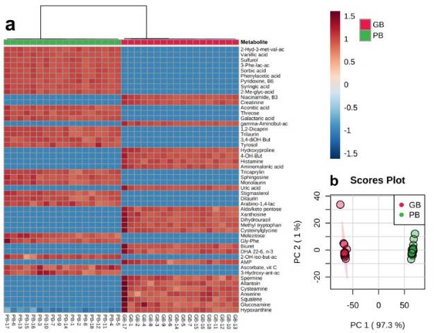 식물성 대체육(PB)과 고기(GB)에 들어 있는 영양성분을 표시한 표. 서로 다른 성분이 함유된 걸 확인할 수 있다./사진=사이언티픽리포트(2021) 11:13828