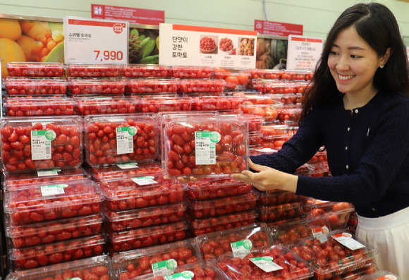 한 고객이 롯데마트 서울역점에서 100% 재생 플라스틱 용기 토마토를 들고있는 모습. [사진=롯데쇼핑]