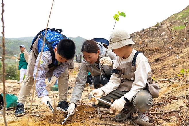 지난 21일 경북 봉화군에서 한화그룹 관계자 및 현지 주민들이 식재 작업을 하고 있다. 한화그룹 제공