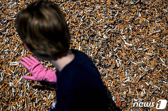 환경운동가가 전시하기 위해 내놓은 담배꽁초를 정리하고 있다. ⓒ AFP=뉴스1 ⓒ News1 박형기 기자