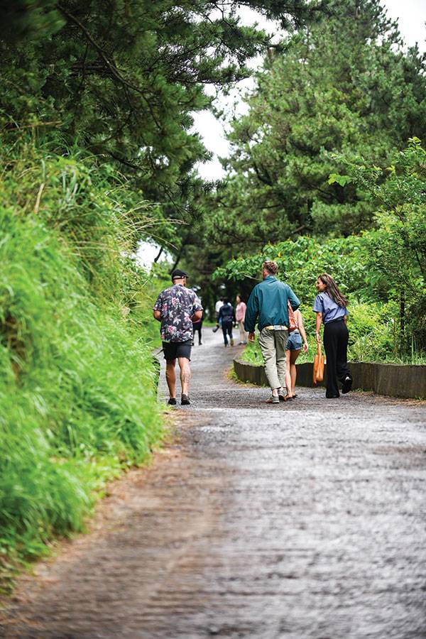 오름 정상까지 이어진 포장도로가 있다.