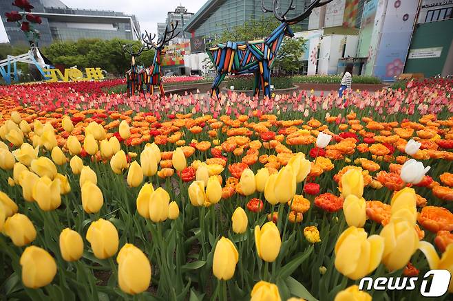 26일 경기도 고양시 일산호수공원에서 열린 2023 고양국제꽃박람회 프레스데이에서 꽃들이 전시돼 있다. 27일부터 오는 5월8일까지 일산호수공원에서 열리는 이번 박람회에는 해외 25개국이 참가한다. 2023.4.26/뉴스1 ⓒ News1 이승배 기자