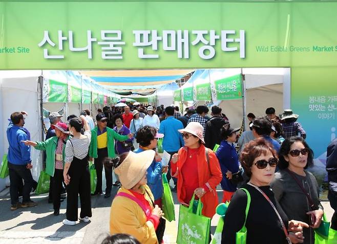 영양 산나물축제.