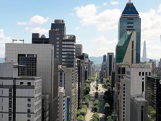 서울의 부동산 가격이 지방보다 빠르게 상승하는 이유는 국가적 투자가 더 많이 이뤄져서 교통과 통신 등 인프라가 더 잘 깔려 있기 때문이다. 사진은 서울 테헤란로의 빌딩숲./지나인에셋