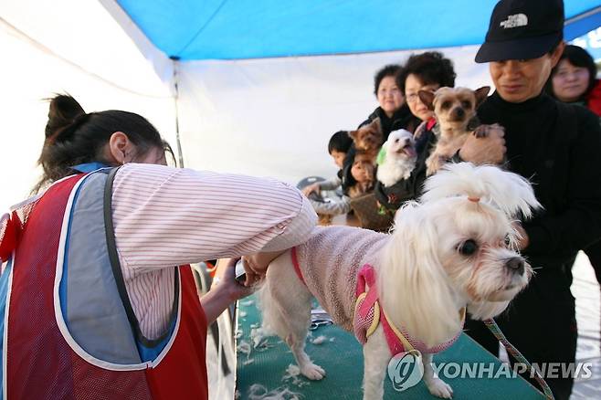 지난 2009년 3월 13일 울산시 남구 신정초등학교에서 열린 '베스트 행정서비스의 날' 애완견 미용 부스에 서비스를 받으려는 주민들이 줄지어 서 있다. [연합뉴스 자료사진]