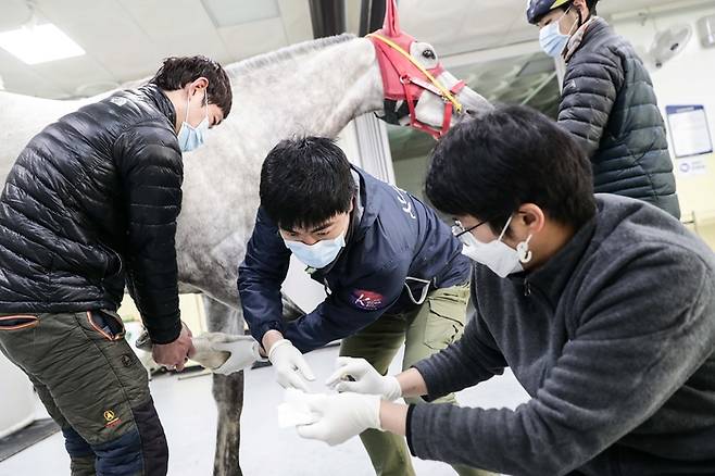 경주마 재활 지원. 사진 | 한국마사회