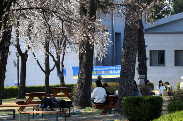 ▲ 최근 오후들어 영상 20도가 넘는 초여름 날씨를 보이고 있는 가운데 춘천교육대학교에서 학생들이 더위를 피해 휴식을 하고 있다. [강원도민일보 자료사진]