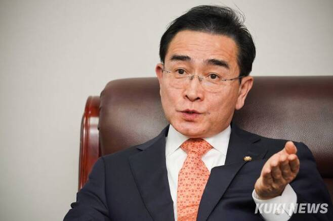 태영호 국민의힘 최고위원.&nbsp; &nbsp;사진=임형택 기자