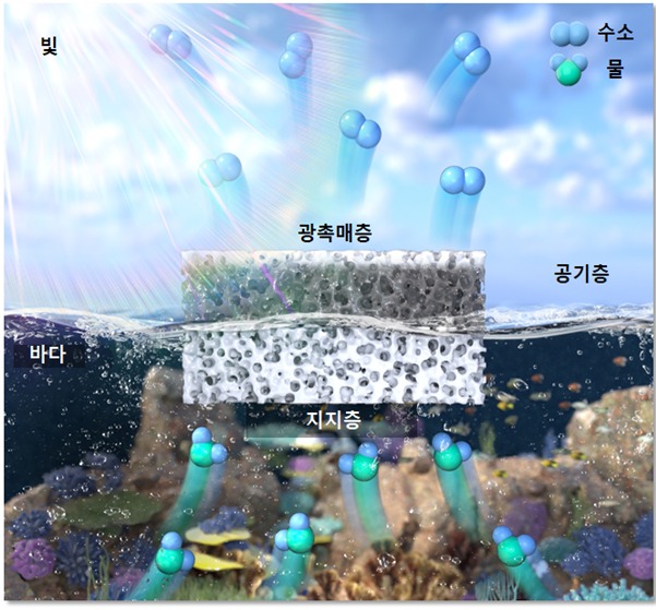 부유식 광촉매 플랫폼의 구조. 개발된 나노복합체는 광촉매층과 지지층으로 구성된다. 광촉매층은 공기 중에 노출되어 있어 효과적으로 빛을 전달받을 수 있다. 구멍이 숭숭 뚫려 있는 다공성의 고무-하이드로젤 복합체를 사용해 높은 표면장력을 달성하여 물에 떠 있을 수 있다. (기초과학연구원 나노입자 연구단 제공) 2023.04.27 /뉴스1