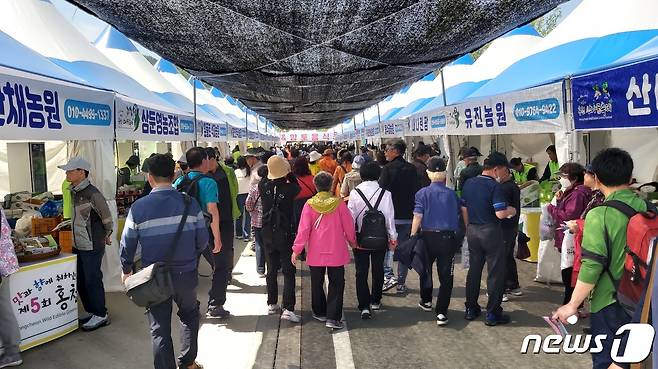 제5회 홍천 산나물축제 관련 사진.(홍천군 제공) 2023.4.28/뉴스1