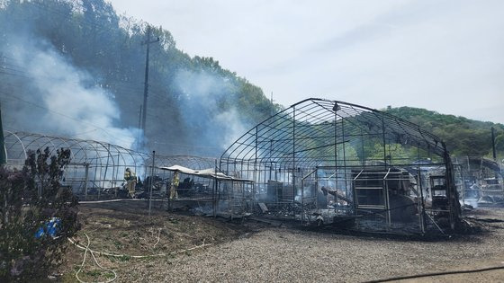 28일 오후 인천시 계양구 귤현동 농원 비닐하우스에서 화재가 발생해 비닐하우스 13개 동이 전소됐다. 사진 인천소방본부