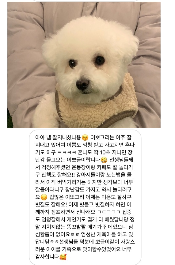 노원구가 운영하는 반려동물문화센터에 유기견 입양 후 근황을 알리는 메시지. 노원구 제공