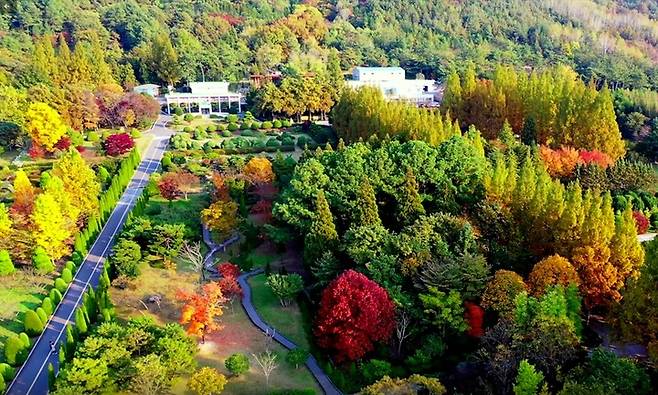 [나주=뉴시스] 전남산림자원연구소 가을 풍경. (사진=전남도 제공) 2022.11.10. photo@newsis.com *재판매 및 DB 금지