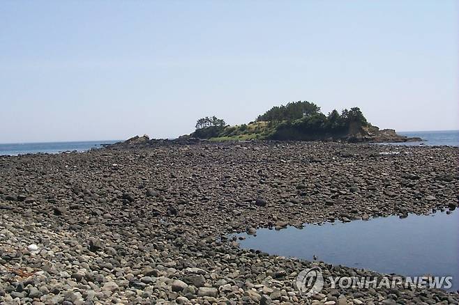 제주판 '모세의 기적' 서건도 [연합뉴스 자료사진]