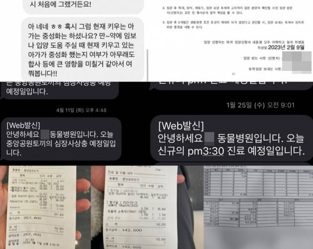 토끼보호협회의 활동 내역이다. 위에서부터 A씨가 입양을 원하는 사람과 나눈 메시지(맨 위 왼쪽), 입양 계약서(맨 위 오른쪽), 병원 예약 문자(가운데), 분당중앙공원 토끼 진료 영수증(맨 아래). A씨 제공