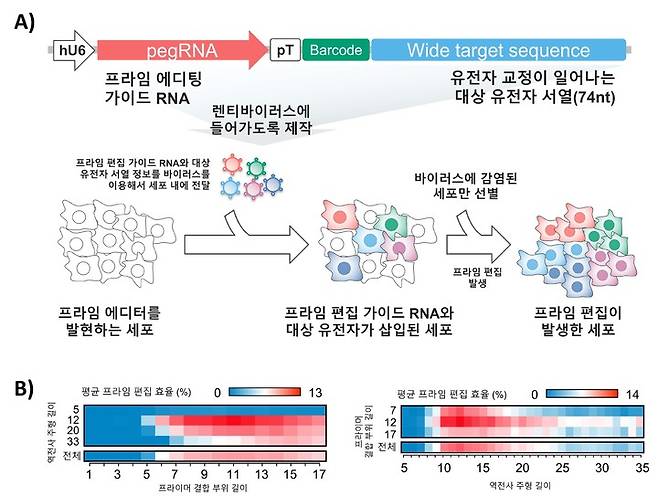 프라임 편집기 실험 방법 및 결과. (사진=과기정통부 제공) *재판매 및 DB 금지