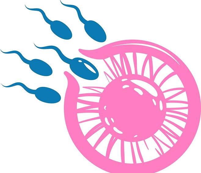 [사진 = 게티이미지뱅크]