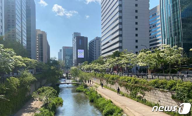 서울특별시 종로구 관철동 청계천 이팝나무길