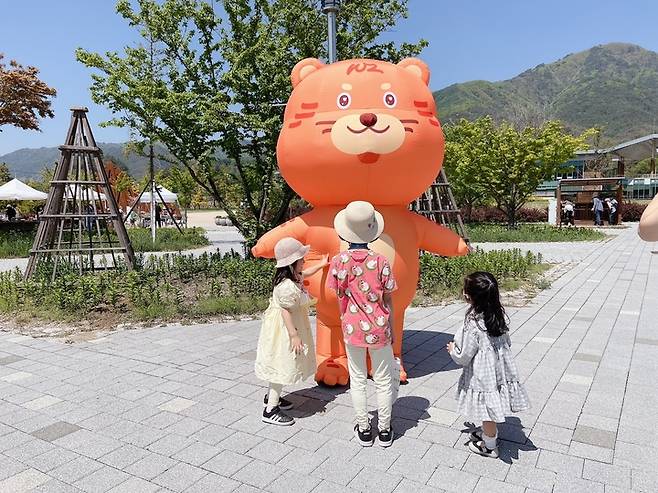 [대전=뉴시스] 국립백두대간수목원에 조성된 백두랑이(백두산호랑이) 에어 조형물 *재판매 및 DB 금지