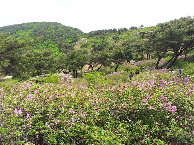 양산 천성산  *재판매 및 DB 금지