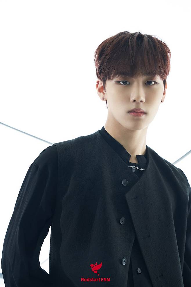 (사진=레드스타트이엔엠)