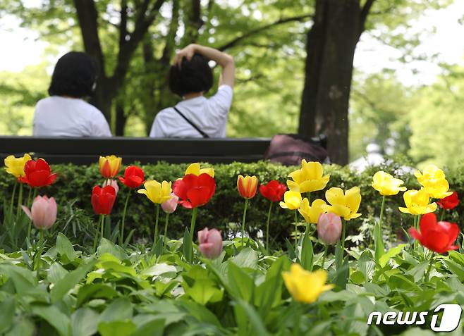 화요일인 2일 충북·세종은 맑고 낮부터 초여름 날씨를 보이겠다.(사진은 기사 내용과 무관함) /뉴스1