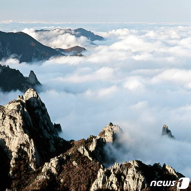 설악산 운해 (사진=조영수 작가)