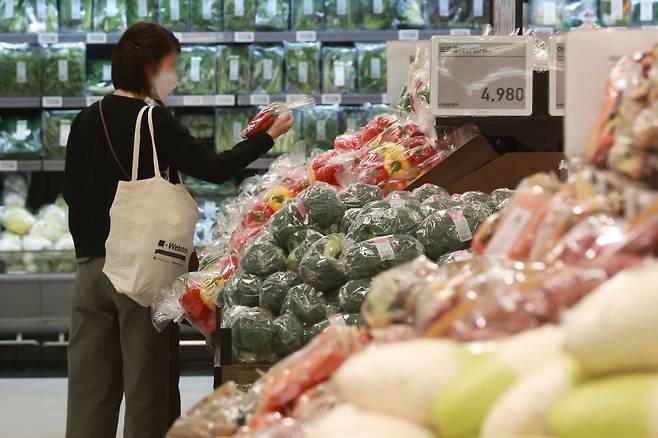 지난달 물가 상승률이 14개월 만에 3%대에 머물렀다. 물가 상승률이 3%대로 둔화한 것은 지난해 2월(3.7%) 이후 처음이다. 사진은 2일 서울의 한 대형마트에서 장을 보는 시민. /사진=연합뉴스