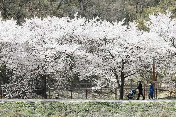 대구 비슬산 옥연지 수변둘레길