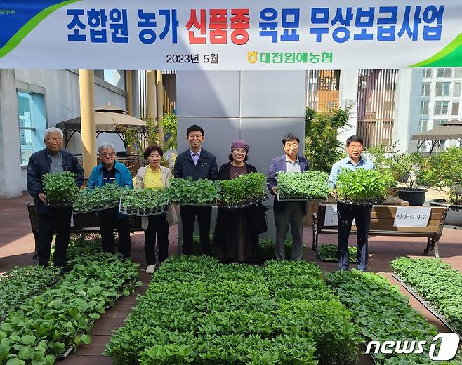 대전원예농협이 조합원 농가를 대상으로 신품종육묘 무상보급사업을 전개하고 있다.(대전원예농협 제공)