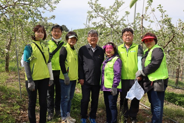 현상태 경기 연천 임진농협 조합장(오른쪽 네 번째)이 류재현 경기 구리농협 상임이사(오른쪽 두 번째), 박선애 구리농협 고향주부모임 회장(왼쪽 세 번째) 등과 함께 사과농장에서 일손지원에 나서고 있다.