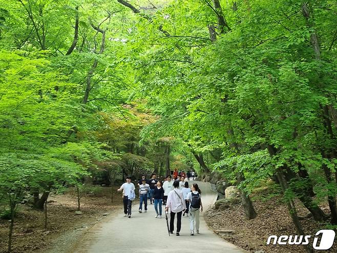 4일 경기 양평군 용문사에는 방문객들의 발걸음이 이어졌다.2023.5.4./뉴스1 양희문 기자