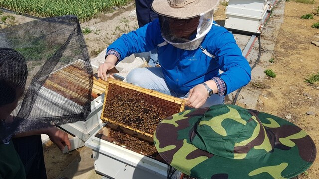 꿀벌 소멸 피해를 입은 한 양봉농가가 벌통을 꺼내 보이고 있다.