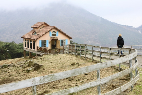 전남 화순 무등산양떼목장