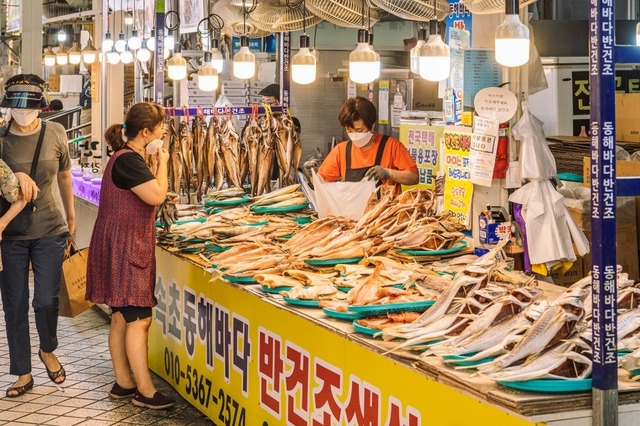 강원 속초 관광수산시장에선 신선한 생물 해산물은 물론 반건조 식품까지 다양하게 판매한다. 사진제공=한국관광공사