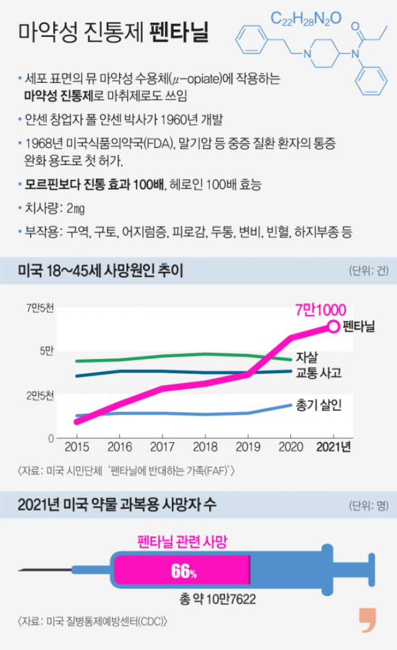 마약성 진통제 펜타닐 - 그래픽 이해영 기자 출처 서울신문