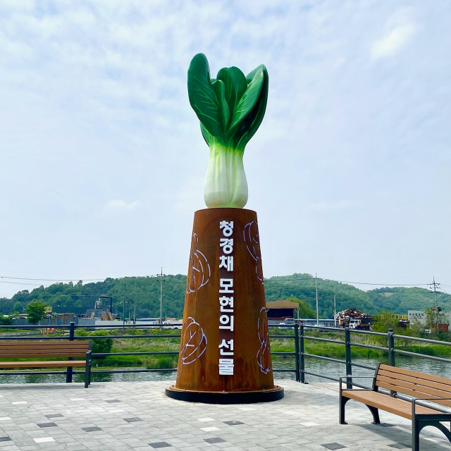 청경채 재배가 활발한 용인시 처인구 모현읍이 외국어대 용인캠퍼스 사거리에 세운 청경채 조형물. 사진 제공 = 모현읍