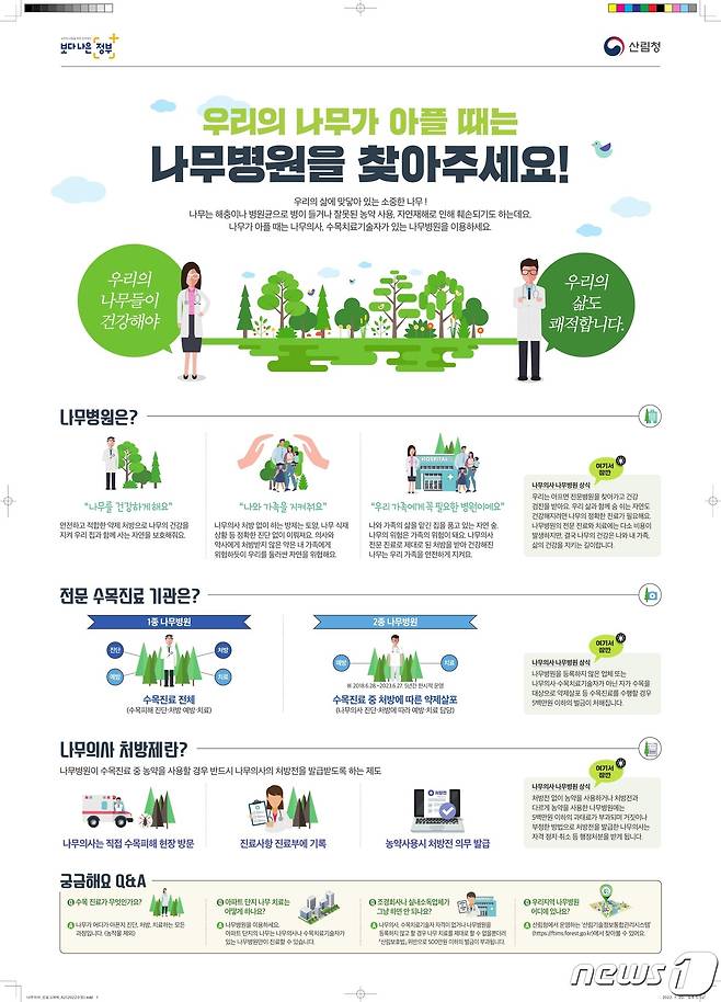 산림청이  6월 30일까지 지자체와 합동으로 수목 진료 위반사항을 특별단속한다.