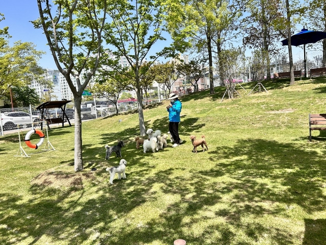 순천시는 전문 직원이 상주하며 맞춤형 돌봄을 제공하는 반려견 무료 돌봄 서비스를 시행하고 있다. 순천시 제공