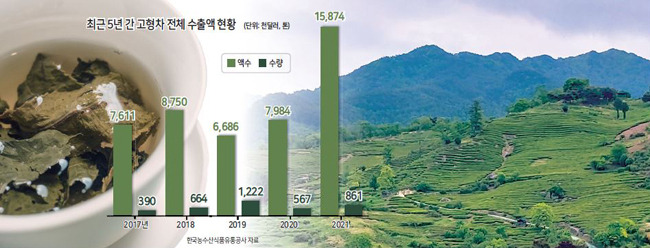 경남 하동군 화개면 일대의 녹차밭 전경