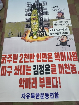 자유북한운동연합 제공